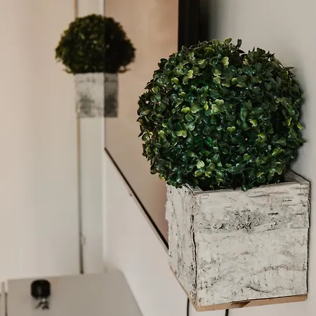 Eleven Apartament