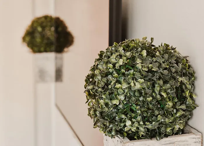 Eleven كرالييفو